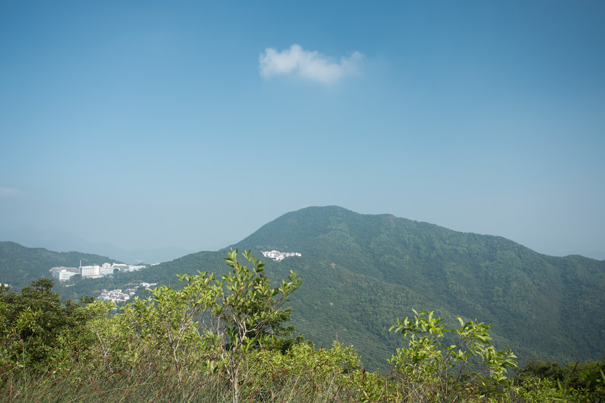 鷓鴣山