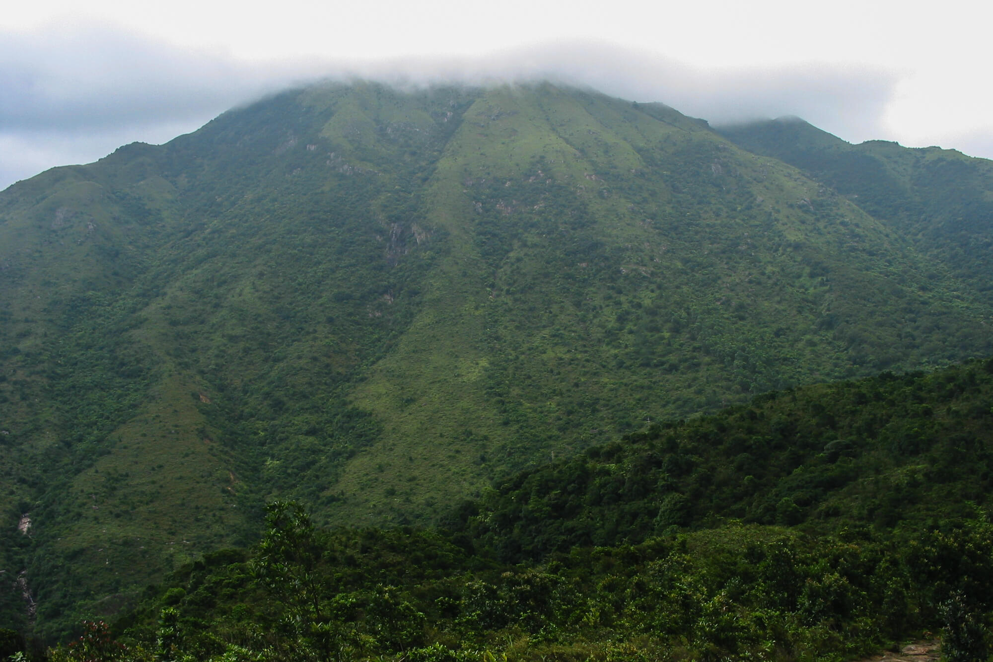 大東山