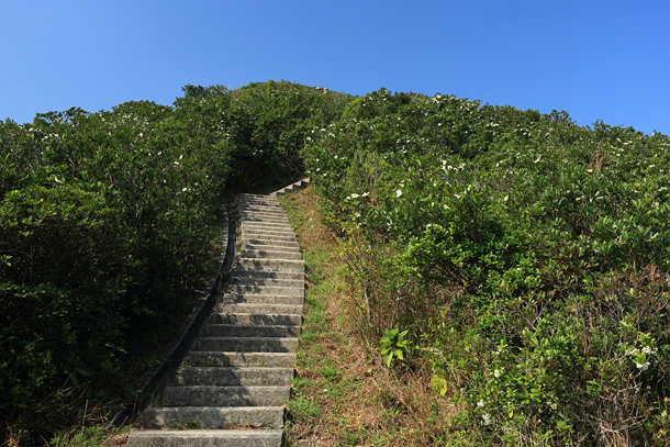 初段沿著引水道行走