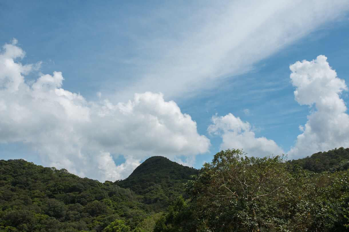 從山麓仰視鐵矢山