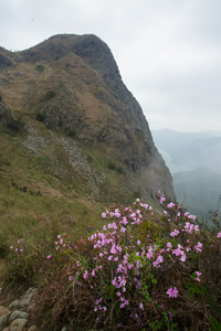 馬鞍山馬頭峰