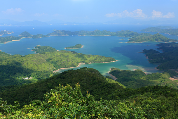 環視印洲塘