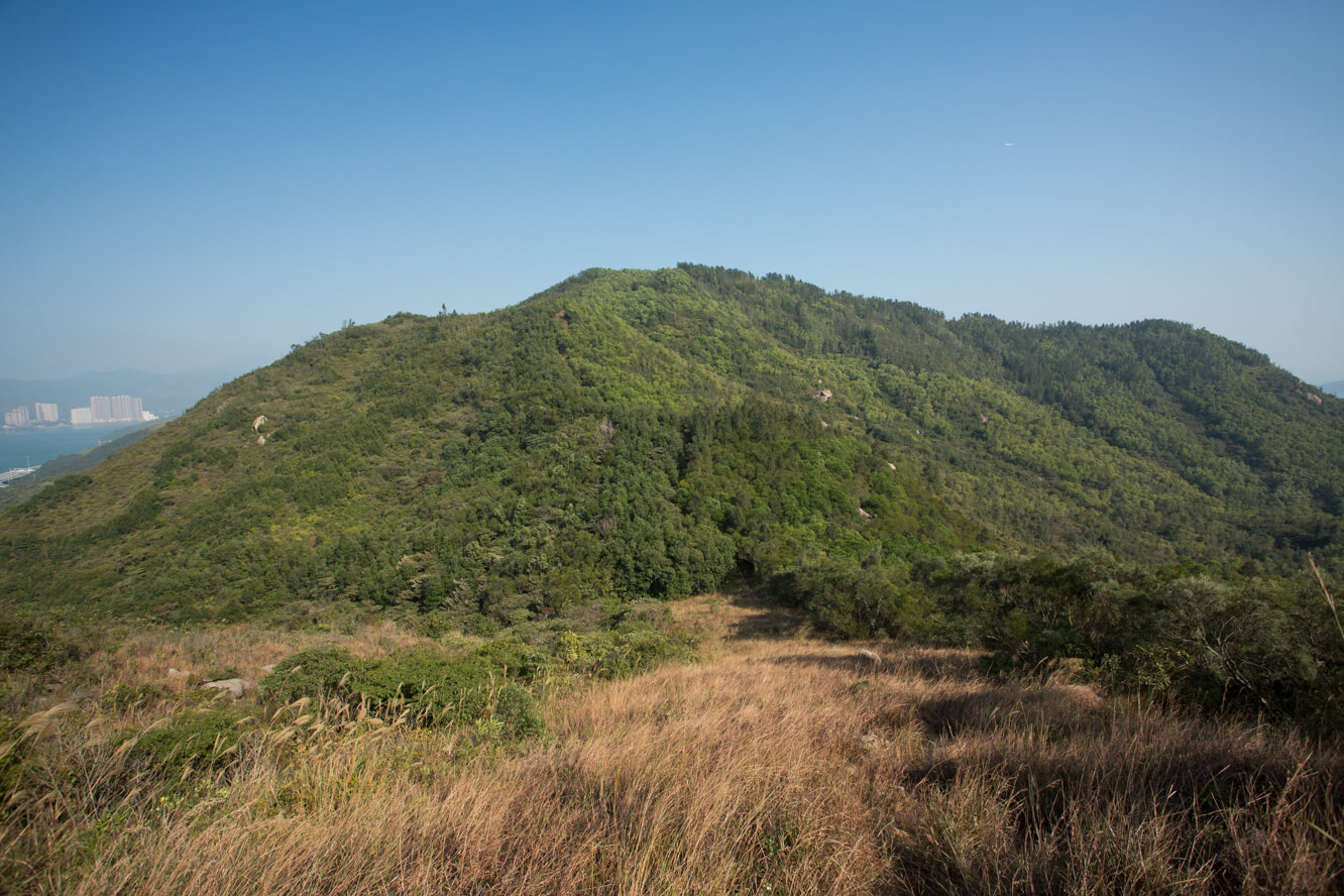 回望大山