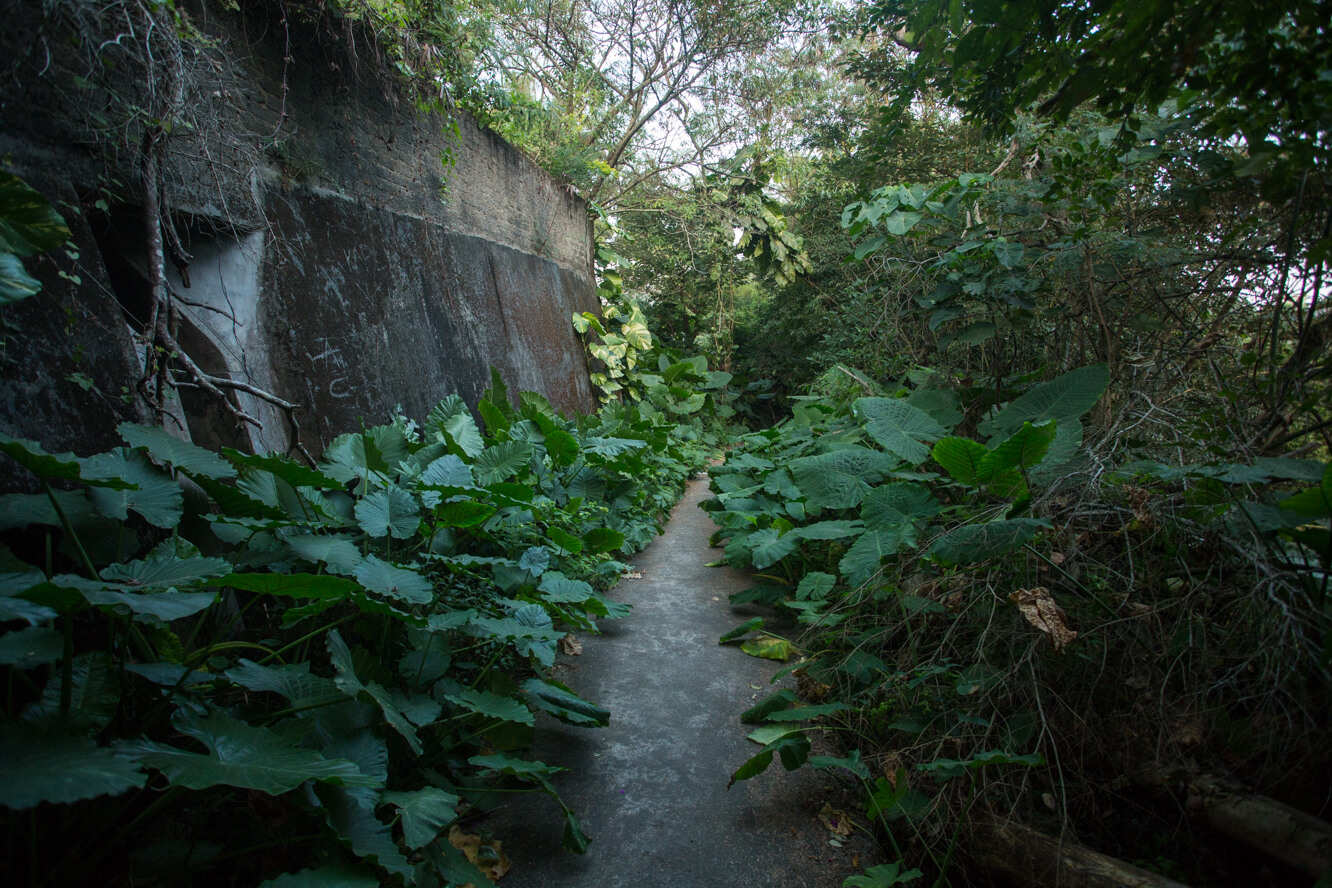 走過綠道