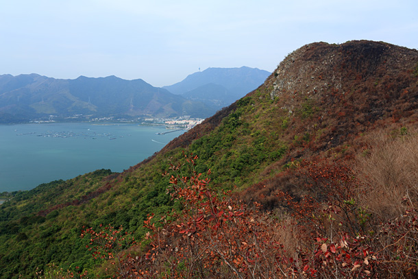 山火後的石芽頭