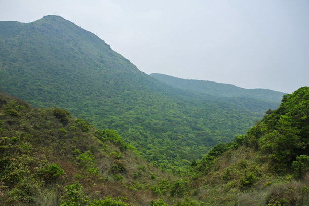 黃牛山