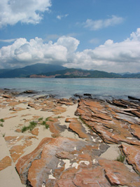 東平洲