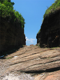 東平洲