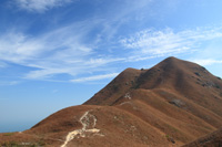 仰望東灣山