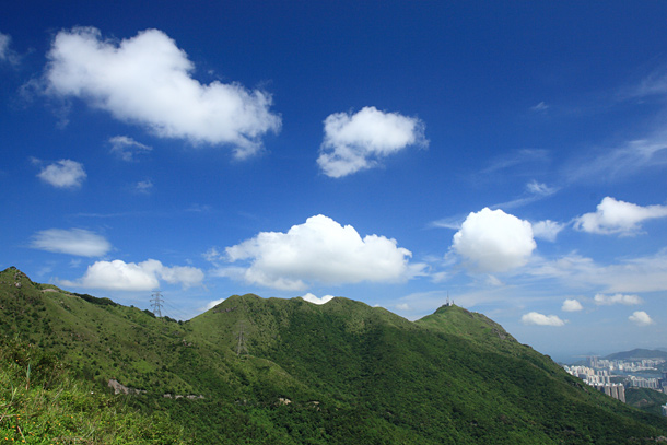 飛鵝山與象山