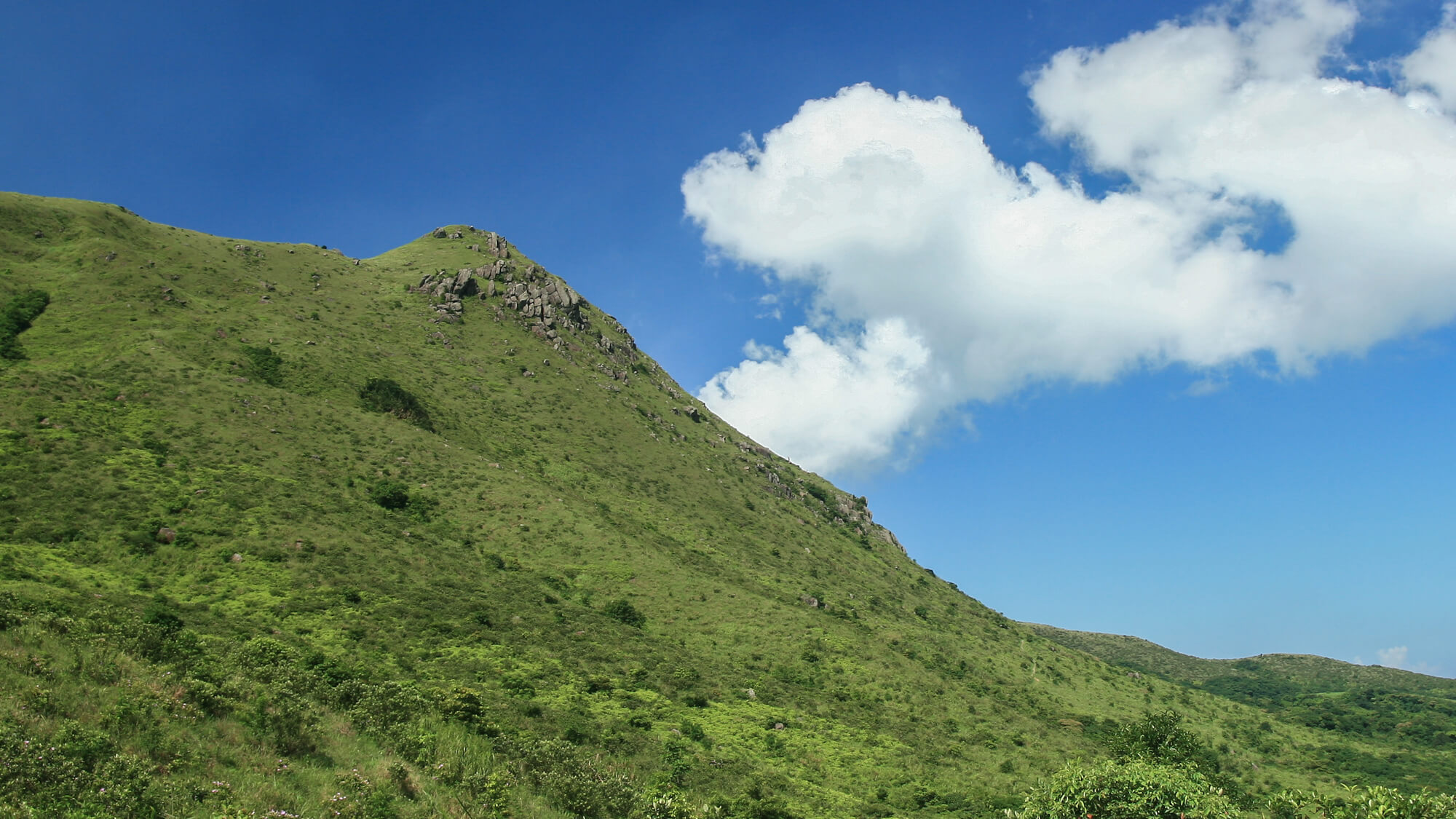 黃牛山