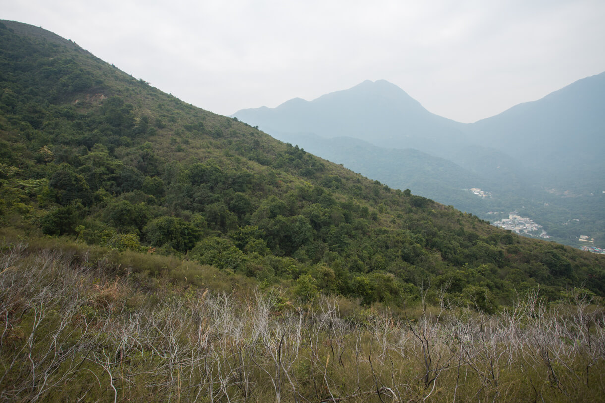 鳳凰山