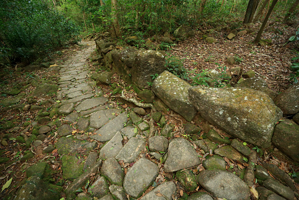 茅坪古道