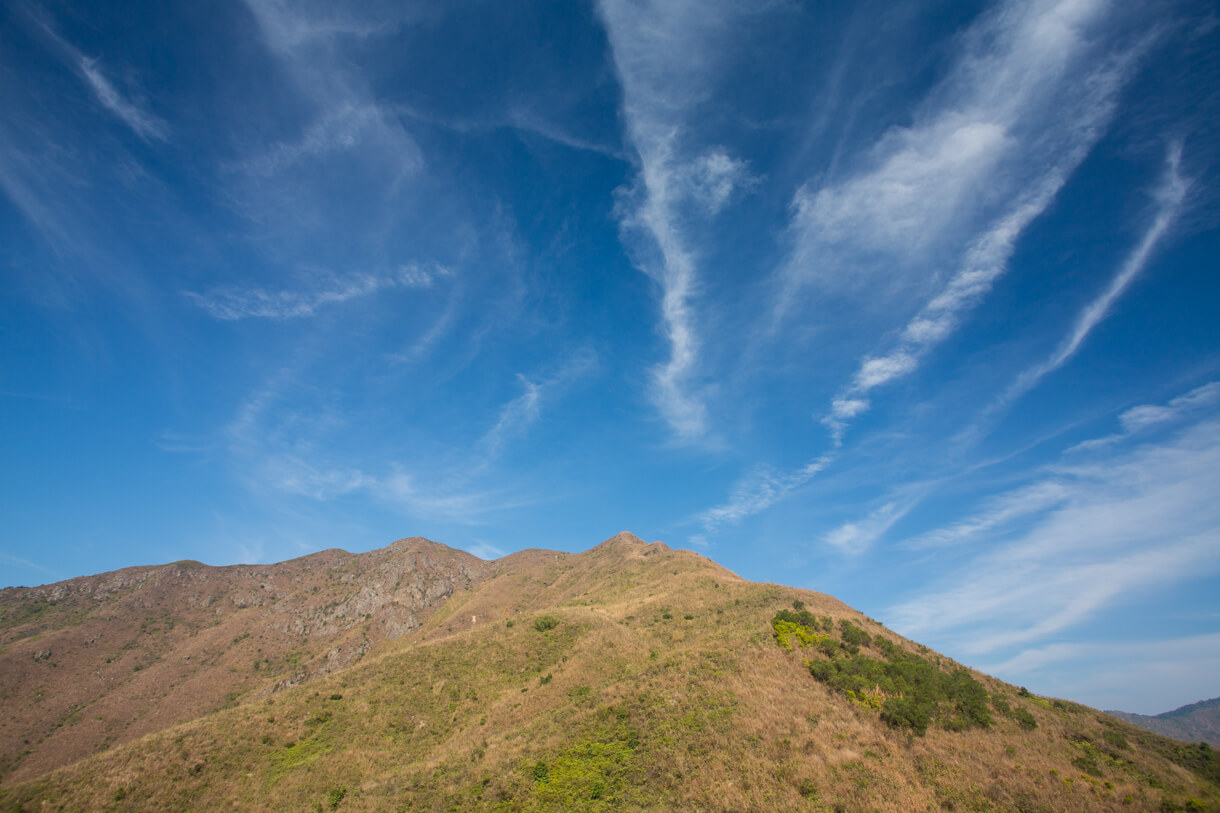 雲絮飛揚