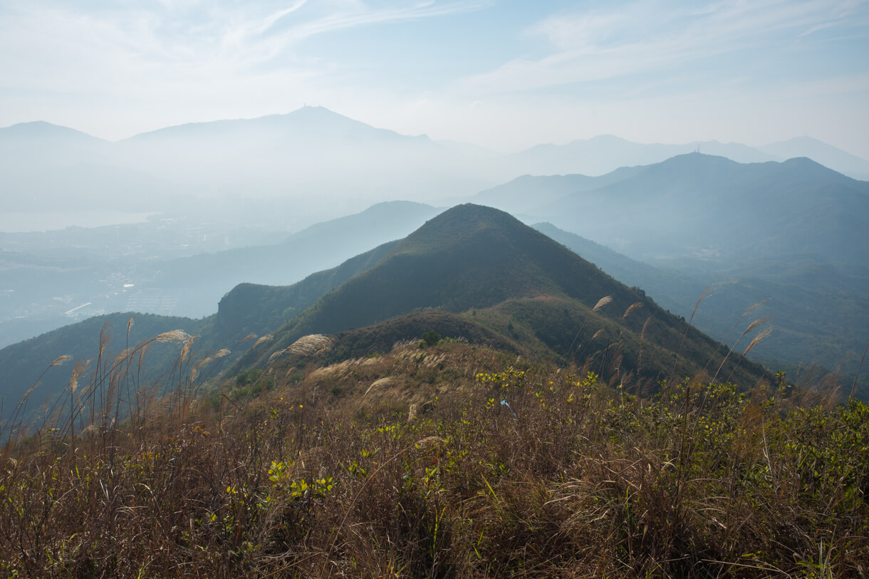 回望逆光的大帽山