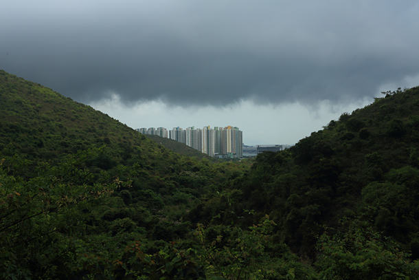 春天的雷雨