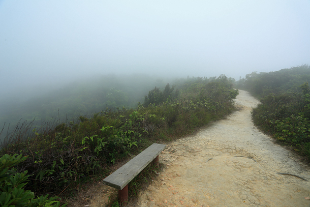 半山霧氣漸重