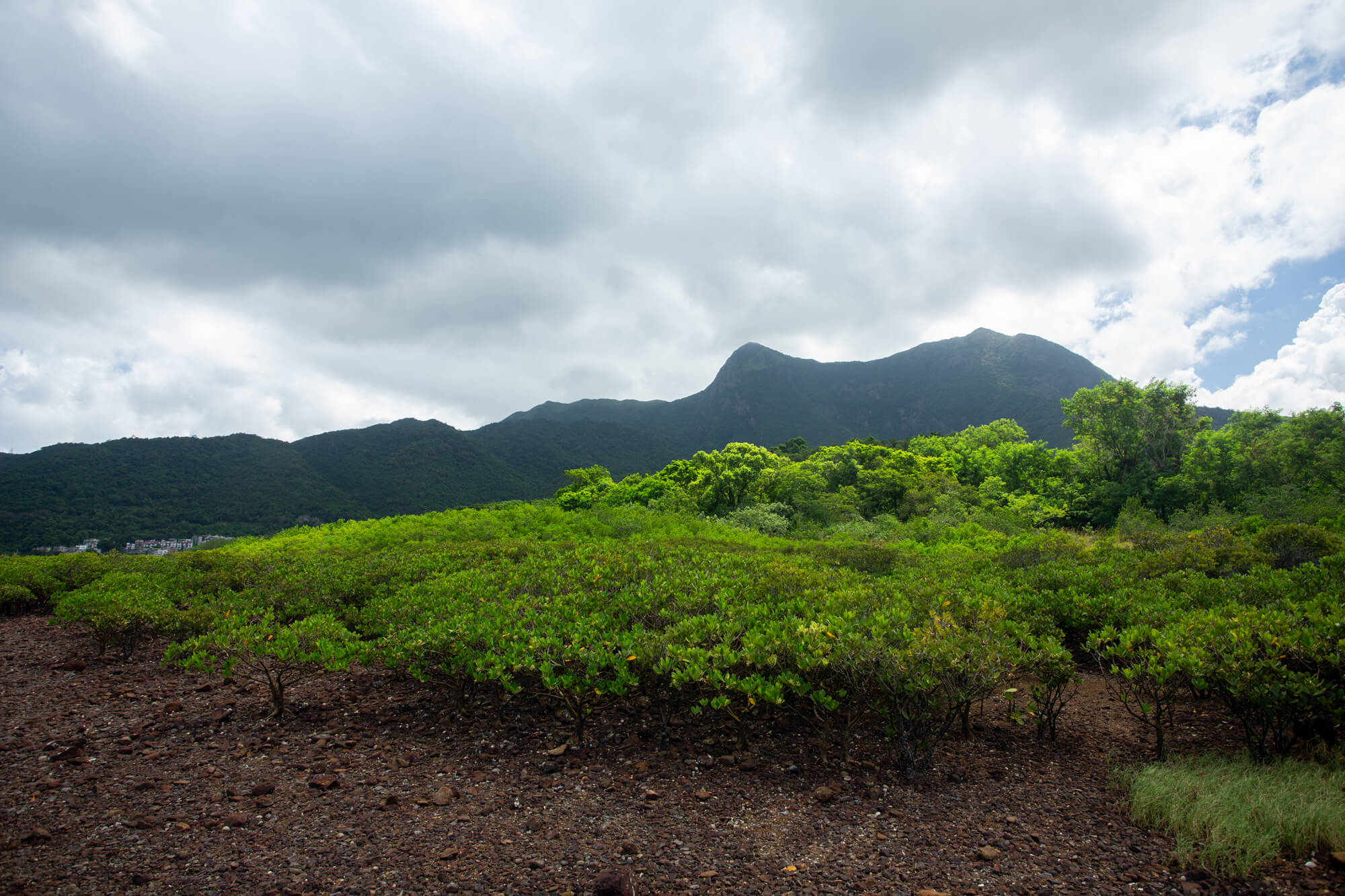 馬鞍山