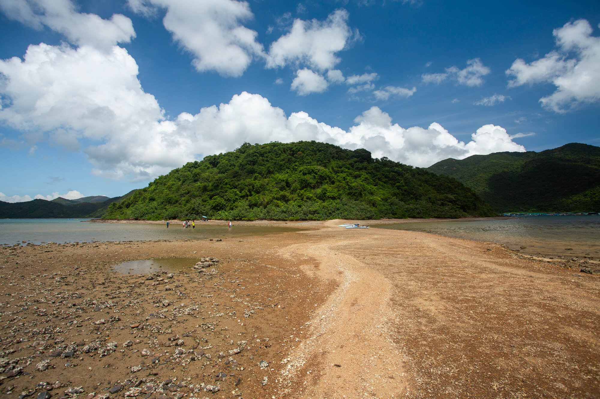 連島沙洲