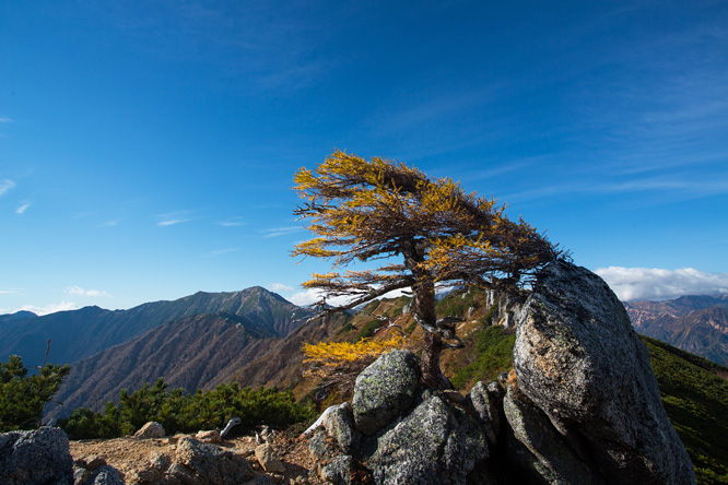 前往大天井岳